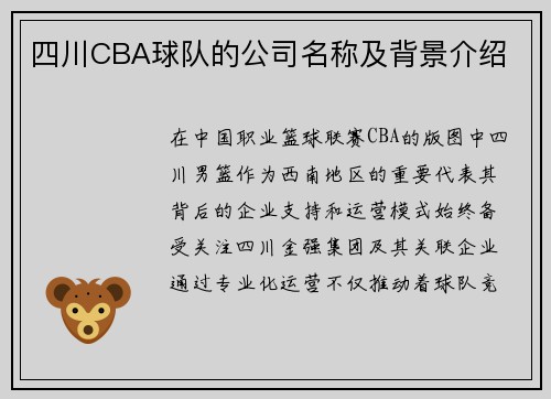 四川CBA球队的公司名称及背景介绍