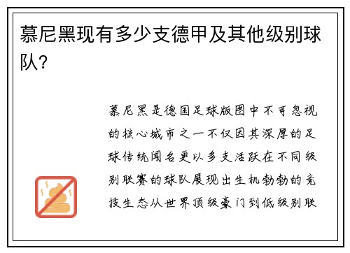 慕尼黑现有多少支德甲及其他级别球队？